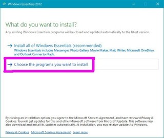 Windows Essentials̃_E[h (4).jpg