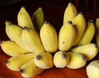 Banana[1].jpg