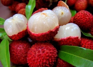 Lychee[1].jpg