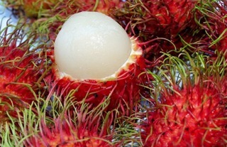 Rambutan[1].jpg