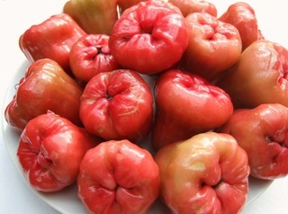 Syzygium-Samarangense[1].jpg