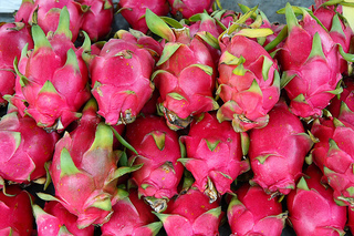 dragon_fruit[1].jpg