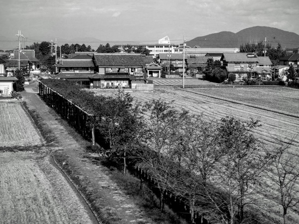 PA190024.JPG