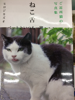 猫舌の本.png