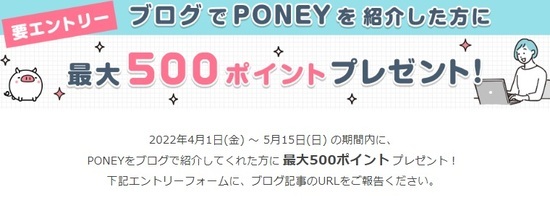 poney blog 500pt.jpg