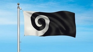 0903nzflag3.jpg