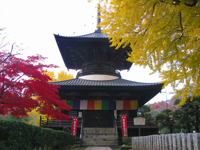 1920px-Ashikaga_Bannaji_Taho_Pagoda_1-1536x1152.jpg