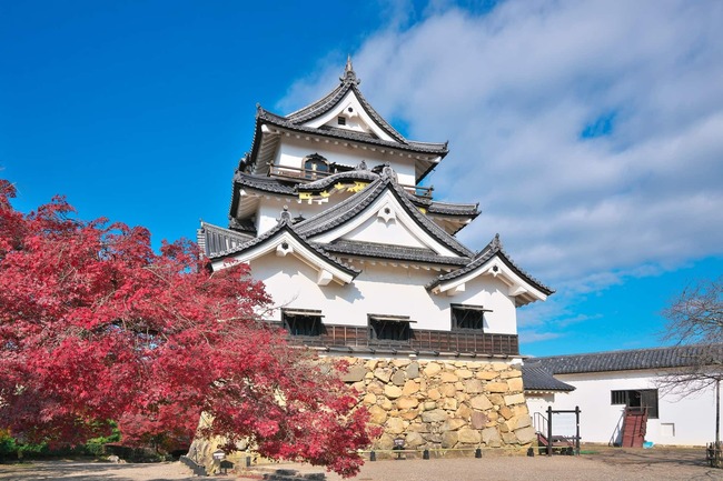 Hikone-Castle.jpg