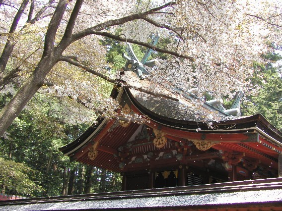 Shiogama-shrine1.jpeg