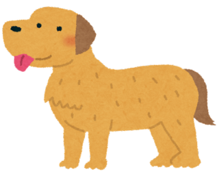 dog_golden_retriever.png