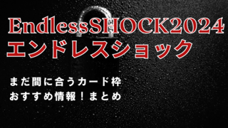 EndlessSHOCK2024.png
