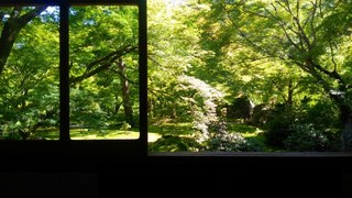 s-宝厳院書院から眺める庭園.jpg