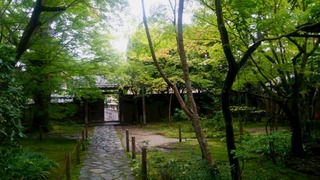 s-蓮華寺山門.jpg