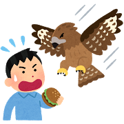 bird_tonbi_jiko.png