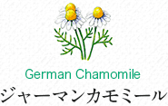 name_chamomile.gif