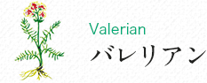 name_valerian.gif