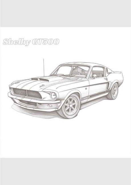 l̓hG _E[h Shelby GT500
