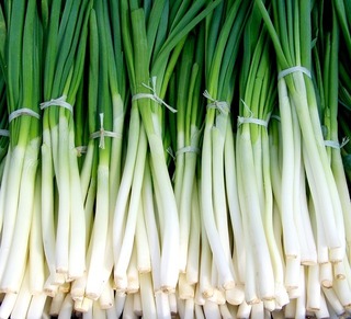 green-onion-699943_640.jpg