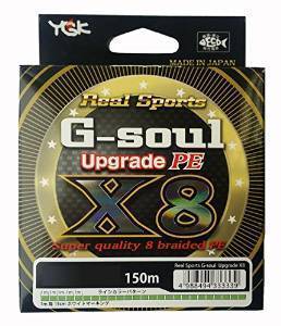 G-SOUL X8 UPGRADE 22lb.jpg