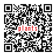 QR_027511.png