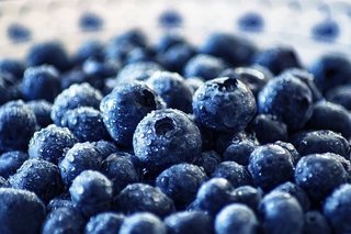 blueberry-3460423__340.jpg