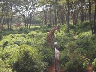 giraffe center3.JPG