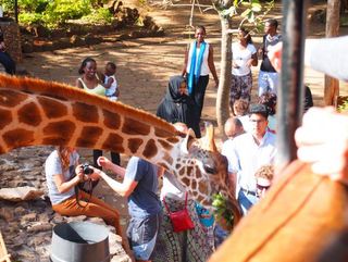 giraffe center6.JPG