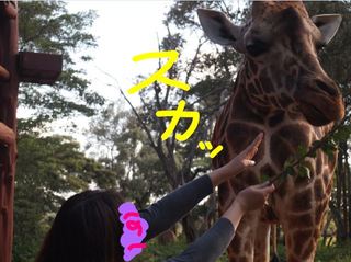 giraffe center9.jpg