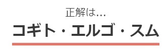 家に居ながらお小遣いを稼ぐ方法 デカルトの名言 我思う ゆえに我あり を もとのラテン語では何という 脳トレクイズ