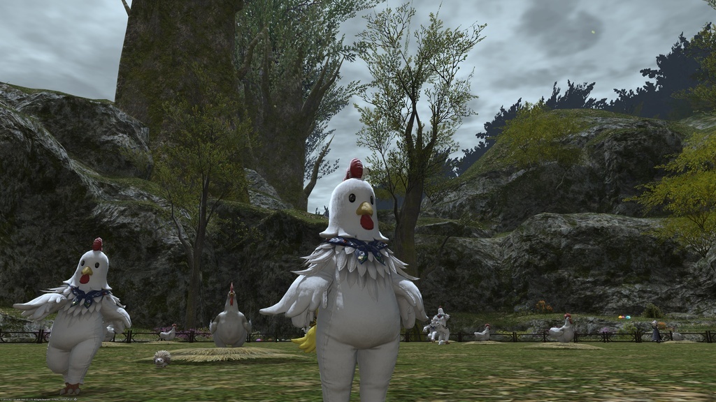 ffxiv_20210414_170923_331.jpg