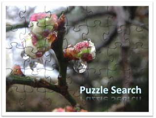 Puzzle Search | n゚X゙T[`Egbt゚C[V゙.png