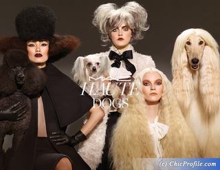 Mac-Haute-Dogs-Fall-2015.jpg