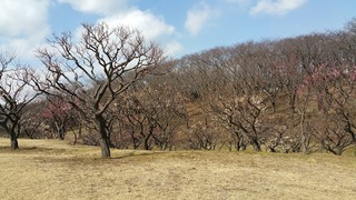 20150221_113444.jpg