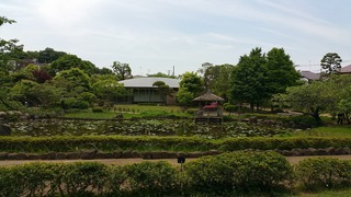 20150506_110745.jpg