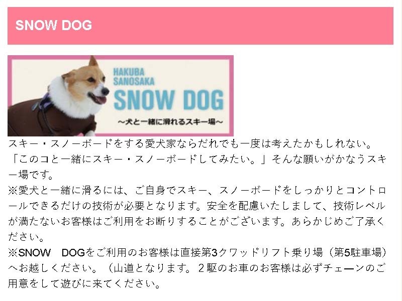 ̂XL[SNOW DOG