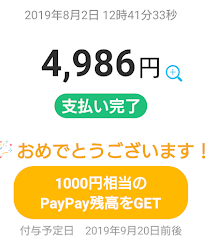 paypay02.png