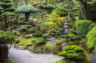 Japanese Garden.jpg