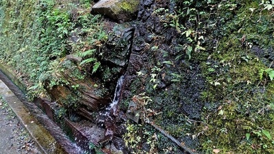 Abundant-Spring-Water.JPG