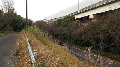 Akayamajinya-Castle-North-Moat.JPG