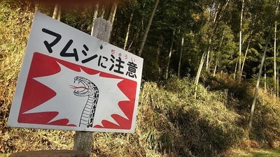 Beware of snakes !.JPG