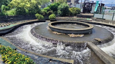 Cylindrical-Diversion-Weir.JPG