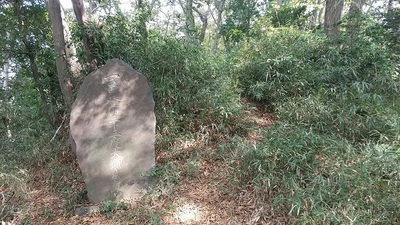 Fujiko-Stone-Monument.JPG