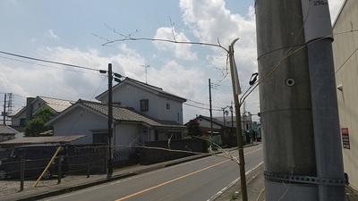 Fusegi-Along-the -street.JPG