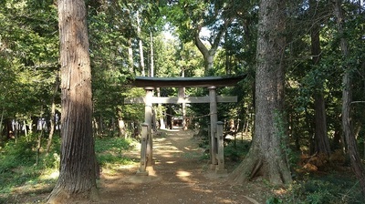 Hōjidonofusegi-Osaki-jinja.JPG