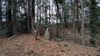 Hachiman-Shrine-Earthwork.JPG