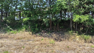 Hitotonoya-Kuruwa- Earthworks.JPG