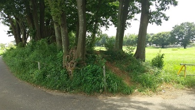 Kawagoe-yakata-ato-Earthworks.JPG