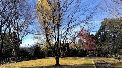 Kawamurajo-Late-Autumn.JPG