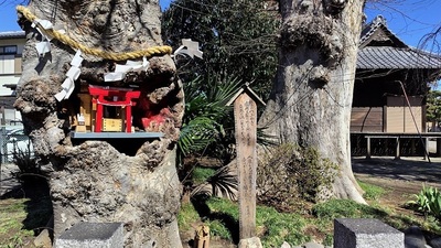 Keyaki-Inari-Shrine.JPG
