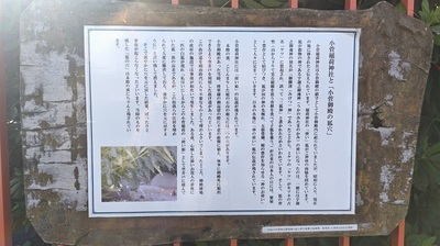 Kosugeinari-Explanation-Board.JPG